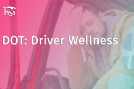 DOT: Driver Wellness